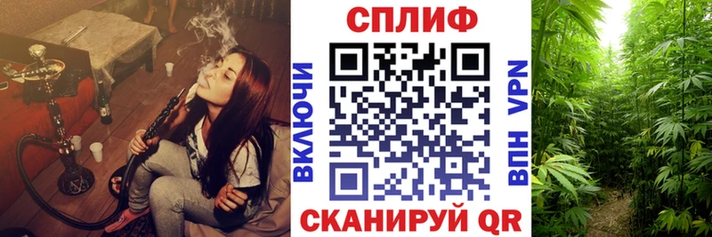Что такое Новозыбков КОКАИН  A-PVP  ГАШ  МАРИХУАНА  Меф мяу мяу 