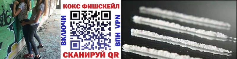 МЕГА сайт Новозыбков COCAIN Fish Scale