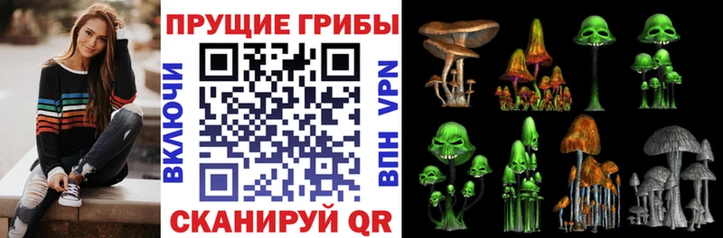 Галлюциногенные грибы прущие грибы  Новозыбков 